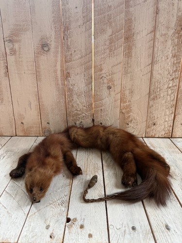 Vintage real stone marten fur - real,