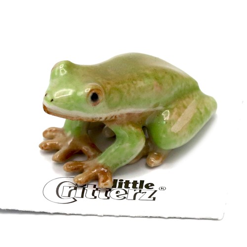 Little critterz frog - critterz,