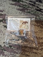 Fossilsed Amber And Copal