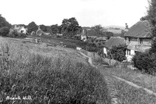 zpp-8 Street View, Beech Hill