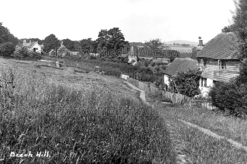 Zpp street view - beech, hill