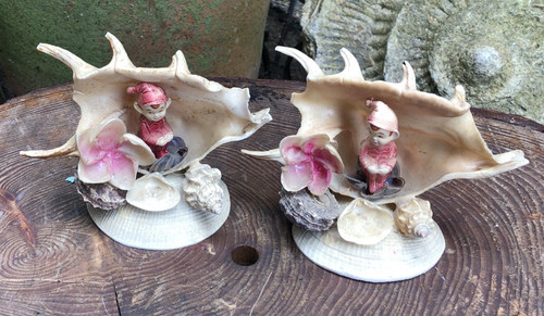 Shell ornaments vintage - shell,