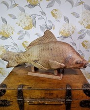 Large Vintage Clay Pottery