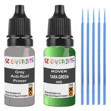 Paint Touch Up For Rover