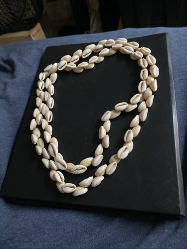 Vintage cowrie seashell - cowrie, white