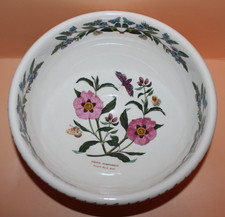 Portmeirion - Botanic Garden -