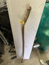 Blackthorn SHANK WALKING STICK