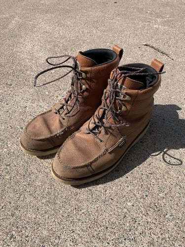 Irish setter red wing brown - irish,