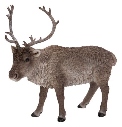 Reindeer lifelike garden - reindeer,