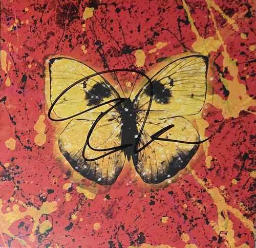 Sheeran shivers cd - ed,