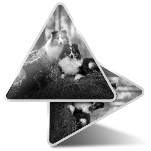 Triangle stickers 10cm - triangle,