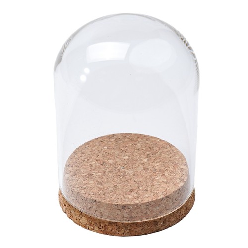 Glass dome cover figurine - dome,