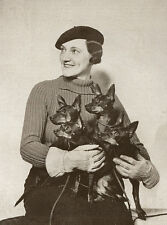 ENGLISH TOY TERRIER BLACK &