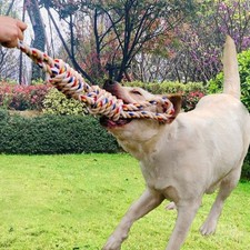 Pet Indestructible Toy For