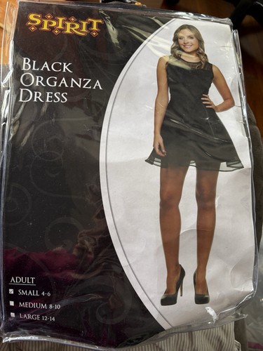 Spirit halloween costume black - halloween,