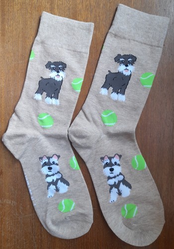 Novelty miniature schnauzer - novelty,