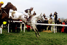 DESERT ORCHID SIMON SHERWOOD