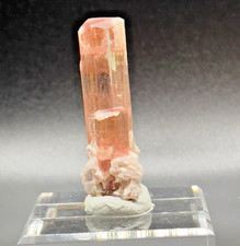 Bi-Colour Rubellite Tourmaline Crystal Cluster – 22 gm (110ct) – Paprok, Afghani