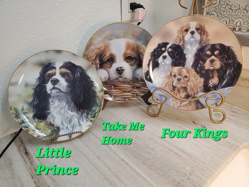 Cavalier king charles spaniels - charles,