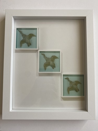 Damien hirst unsigned print - hirst,