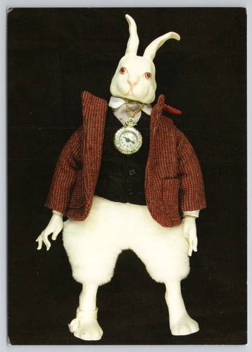 Alice wonderland white - in,