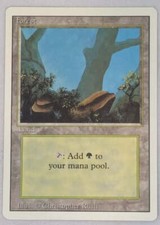 10 x Forest Land - MTG Revised