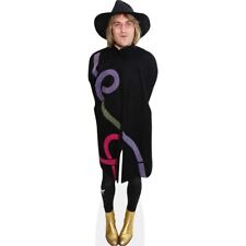 Noel Fielding (Gold Shoes)