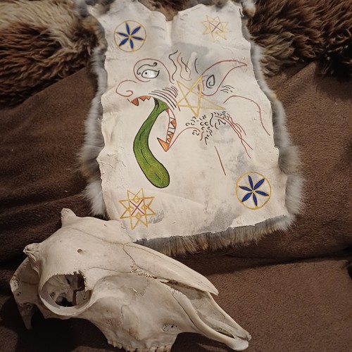 Medieval demon rabbit - rabbit, skin