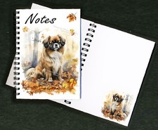 Tibetan Spaniel Dog