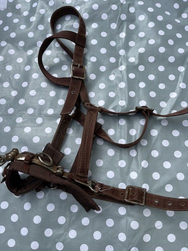 Cottage craft lunging cavesson - cottage,