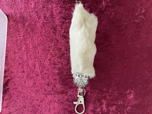 One lucky rabbits foot with - one,