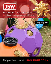 Hay Play Ball SLOW FEEDER for