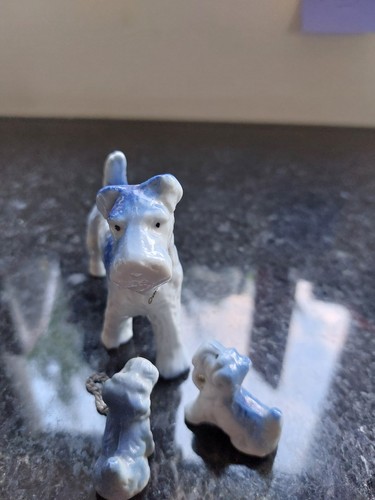 Vintage blue fox - fox, terrier