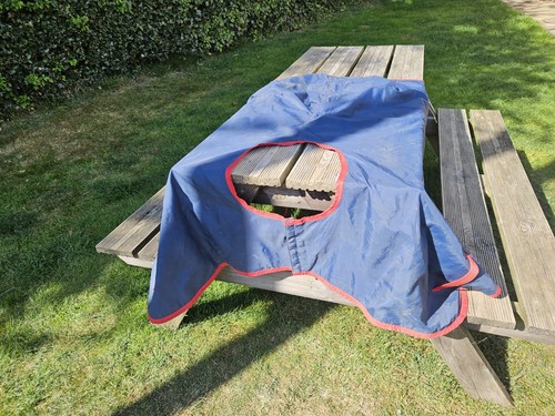 World beater pony cob size - world,