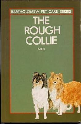 Rough collie pet - rough, care