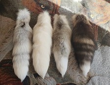 Four Taxidermy Fox Tails Job Lot 18 - 20 Inches