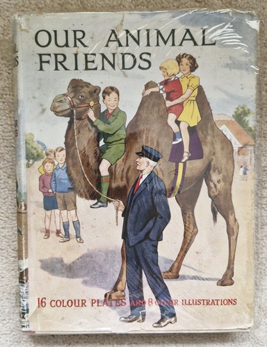 Our animal friends - our, by
