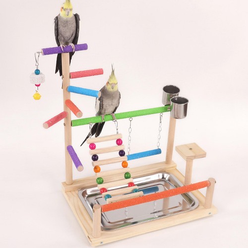 Parrot bird playground - parrot,