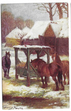 Tuck's Artist Drawn Postcard