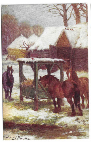 Tuck artist drawn postcard - tuck's,