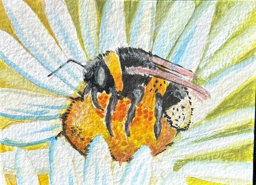 Aceo original watercolour bee - watercolour,