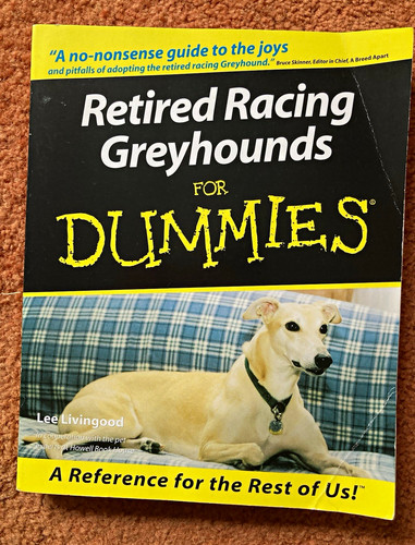 Retired racing greyhounds - retired,