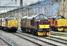  N GAUGE  FARISH  CLASS 37 DCC SOUND CONVERSION SERVICE....