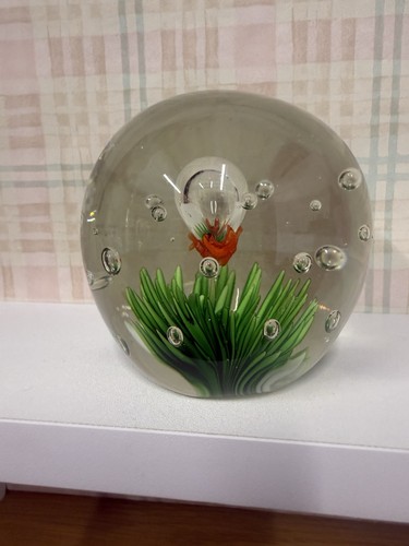 Beautiful grass flower effect - beautiful,