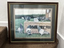 Audrey Lawrence Johnson, watercolour, study of five Racing pigeons Portrait Art