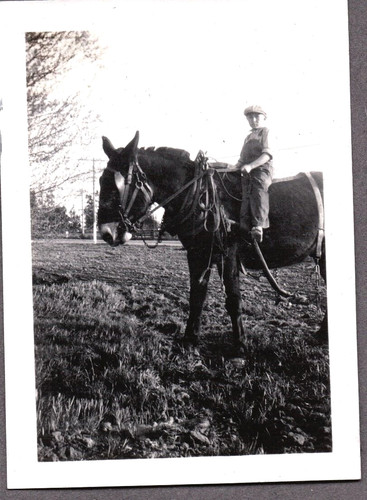 Vintage photograph boys farm - boys,