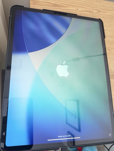 Apple ipad pro 9in - ipad, 256gb