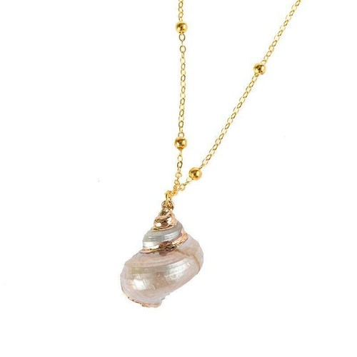 Beautiful ocean shell pearl - shell,