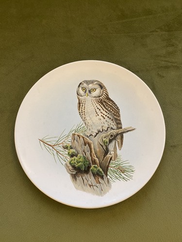 Vintage poole pottery - poole, england