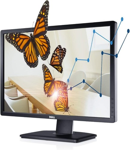 Dell u2412m 1920 x 1200 - 24",